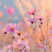 ヒメ日記 2025/09/16 14:08 投稿 ふうか 妻天 京橋店