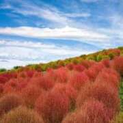 ヒメ日記 2025/09/24 08:38 投稿 ふうか 妻天 京橋店