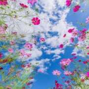 ヒメ日記 2025/09/25 05:58 投稿 ふうか 妻天 京橋店