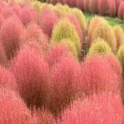 ヒメ日記 2025/10/03 06:18 投稿 ふうか 妻天 京橋店