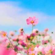 ヒメ日記 2025/10/04 07:28 投稿 ふうか 妻天 京橋店