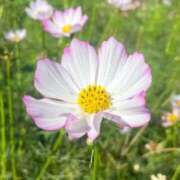 ヒメ日記 2025/10/10 08:48 投稿 ふうか 妻天 京橋店