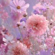 ヒメ日記 2025/10/11 09:00 投稿 ふうか 妻天 京橋店