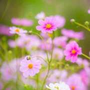 ヒメ日記 2025/10/15 08:58 投稿 ふうか 妻天 京橋店