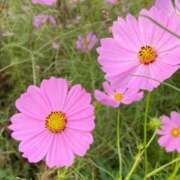 ヒメ日記 2025/10/18 09:18 投稿 ふうか 妻天 京橋店