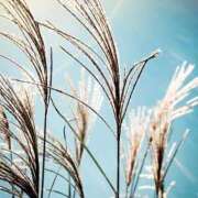 ヒメ日記 2025/10/21 08:48 投稿 ふうか 妻天 京橋店