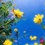 ヒメ日記 2025/10/30 08:20 投稿 ふうか 妻天 京橋店