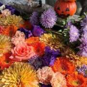 ヒメ日記 2025/10/31 08:58 投稿 ふうか 妻天 京橋店