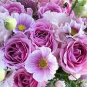 ヒメ日記 2025/11/01 10:48 投稿 ふうか 妻天 京橋店