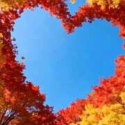 ヒメ日記 2025/11/12 09:20 投稿 ふうか 妻天 京橋店