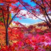 ヒメ日記 2025/11/20 08:29 投稿 ふうか 妻天 京橋店