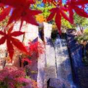 ヒメ日記 2025/11/21 09:03 投稿 ふうか 妻天 京橋店