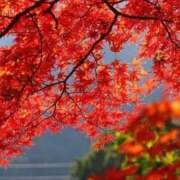 ヒメ日記 2025/11/21 21:48 投稿 ふうか 妻天 京橋店