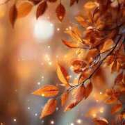 ヒメ日記 2025/11/25 09:42 投稿 ふうか 妻天 京橋店