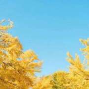 ヒメ日記 2025/11/26 10:48 投稿 ふうか 妻天 京橋店