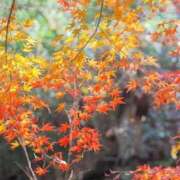 ヒメ日記 2025/11/28 09:04 投稿 ふうか 妻天 京橋店