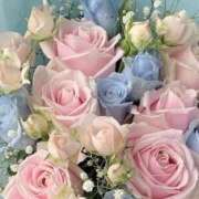 ヒメ日記 2025/12/01 06:18 投稿 ふうか 妻天 京橋店