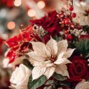 ふうか 昨日はありがとうございました✨ 妻天 京橋店