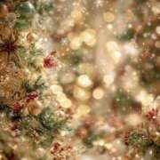 ヒメ日記 2025/12/24 10:13 投稿 ふうか 妻天 京橋店