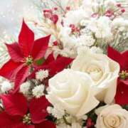 ヒメ日記 2025/12/25 09:10 投稿 ふうか 妻天 京橋店