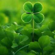 ヒメ日記 2026/01/05 12:04 投稿 ふうか 妻天 京橋店