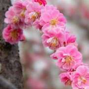 ヒメ日記 2026/01/06 09:52 投稿 ふうか 妻天 京橋店