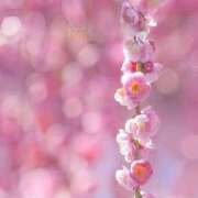 ふうか 出勤しましたー！✨ 妻天 京橋店