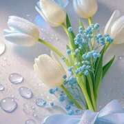 ふうか 昨日はありがとうございました✨andお知らせ📢 妻天 京橋店