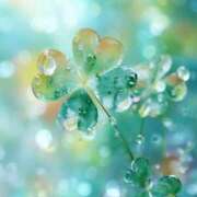 ヒメ日記 2026/01/13 09:30 投稿 ふうか 妻天 京橋店