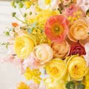 ヒメ日記 2026/01/20 08:44 投稿 ふうか 妻天 京橋店