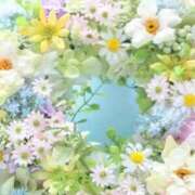 ヒメ日記 2026/01/27 09:07 投稿 ふうか 妻天 京橋店