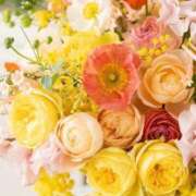 ヒメ日記 2026/02/07 09:57 投稿 ふうか 妻天 京橋店