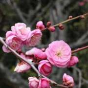 ヒメ日記 2026/02/10 09:18 投稿 ふうか 妻天 京橋店