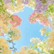 ヒメ日記 2026/02/12 09:09 投稿 ふうか 妻天 京橋店