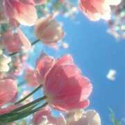 ヒメ日記 2026/02/18 10:23 投稿 ふうか 妻天 京橋店