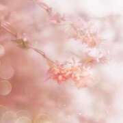 ヒメ日記 2026/02/20 20:24 投稿 ふうか 妻天 京橋店