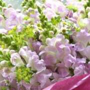 ヒメ日記 2026/02/21 09:58 投稿 ふうか 妻天 京橋店