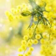 ヒメ日記 2026/02/26 10:21 投稿 ふうか 妻天 京橋店