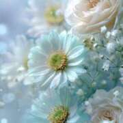 ふうか 向かってます💨💨💨 妻天 京橋店