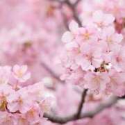 ヒメ日記 2026/03/09 06:17 投稿 ふうか 妻天 京橋店