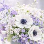 ヒメ日記 2026/03/10 08:50 投稿 ふうか 妻天 京橋店