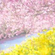 ヒメ日記 2026/03/12 08:58 投稿 ふうか 妻天 京橋店