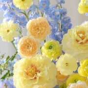 ヒメ日記 2026/03/13 09:09 投稿 ふうか 妻天 京橋店