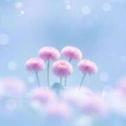 ヒメ日記 2026/03/16 09:17 投稿 ふうか 妻天 京橋店