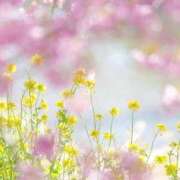 ヒメ日記 2026/03/17 08:04 投稿 ふうか 妻天 京橋店