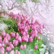 ヒメ日記 2026/03/22 09:04 投稿 ふうか 妻天 京橋店