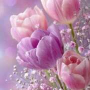 ヒメ日記 2026/04/01 10:14 投稿 ふうか 妻天 京橋店