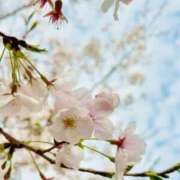 ヒメ日記 2026/04/03 08:47 投稿 ふうか 妻天 京橋店