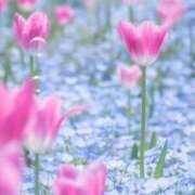 ヒメ日記 2026/04/06 09:04 投稿 ふうか 妻天 京橋店