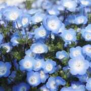 ヒメ日記 2026/04/08 11:38 投稿 ふうか 妻天 京橋店